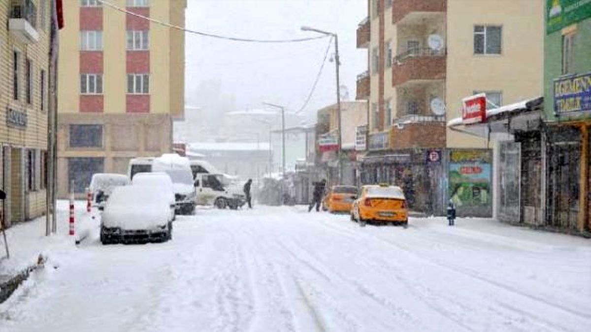 Van\'da Kar Yolları Kapattı