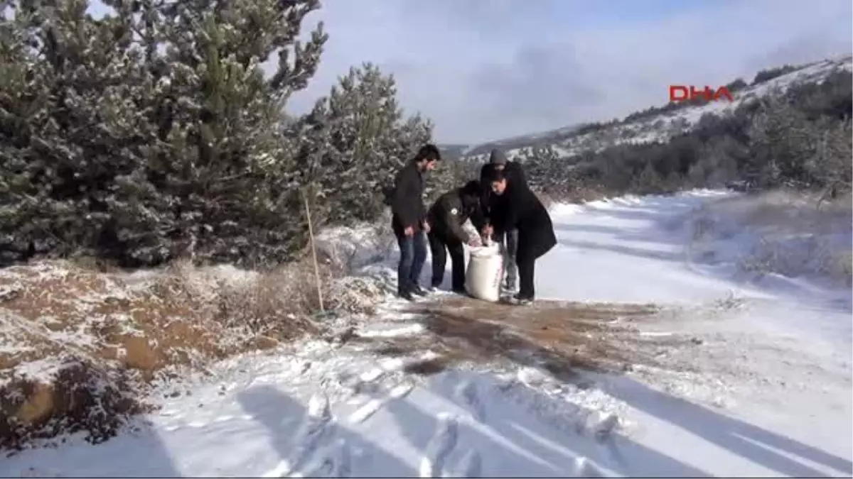 Yozgat Yaban Hayatına Yem Desteği