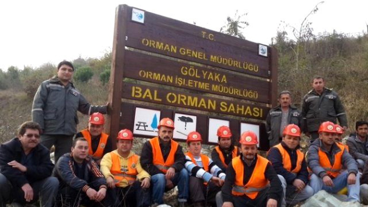 Bal Ormanına Akasya ve Kestane Fidanı Dikildi