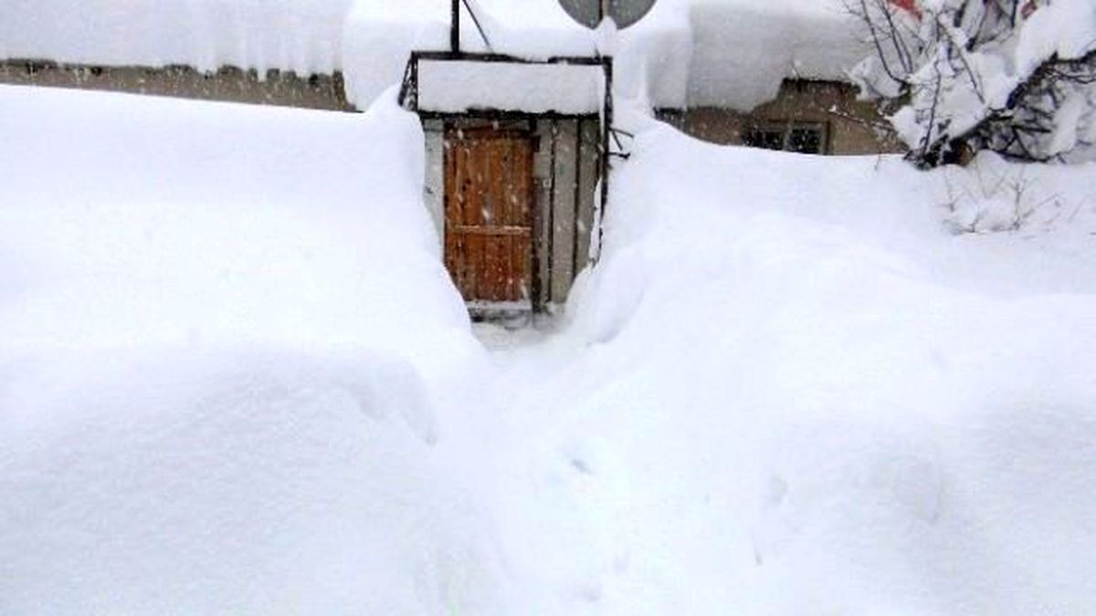 Bitlis\'te Hayat Durma Noktasına Geldi