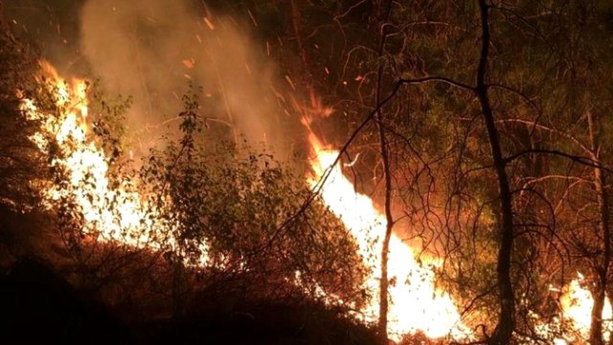 Marmaris Yeni Yıla Orman Yangınıyla Başladı