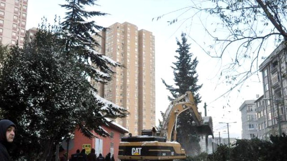 Belediye Yılbaşı Sabah 06:00'da İş Makineleriyle Ağaçları Yıktı