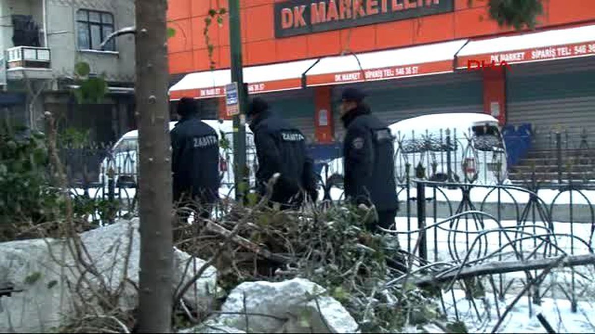 Sabah 06: 00\'da İşmakineleriyle Ağaçları Yıktılar
