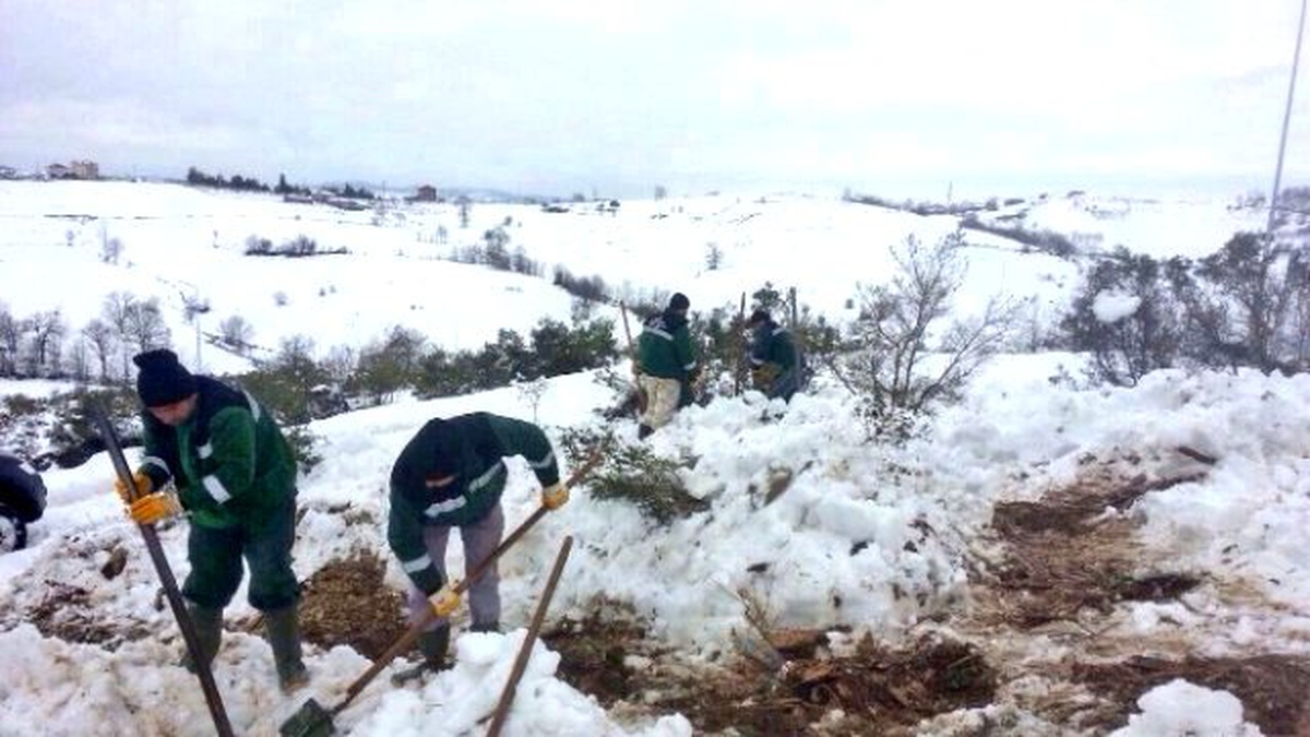 Sason İlçe Mezarlığına 100 Çam Ağacı Dikildi