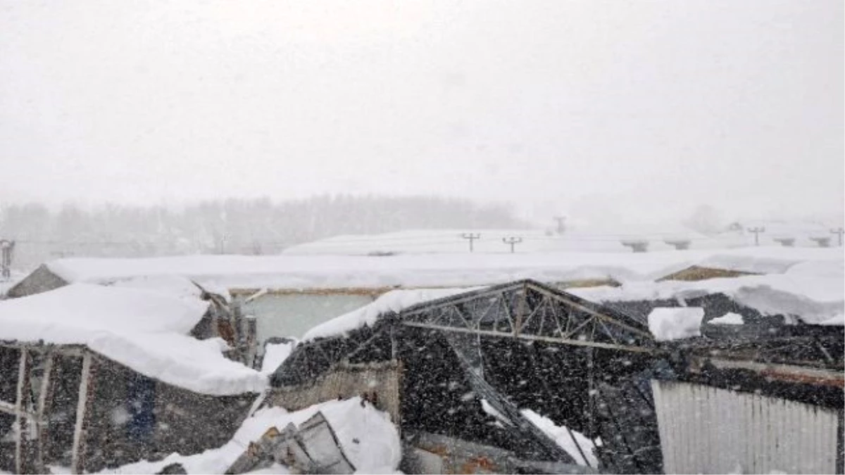 Sinop\'ta Yağan Kar Fabrika Çatılarını Çökertti