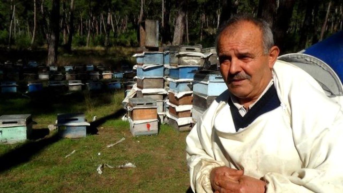 Arıcıların Yer Sıkıntısı