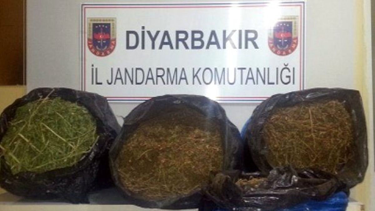 Diyarbakır\'da 42,5 Kilogram Esrar Ele Geçirildi