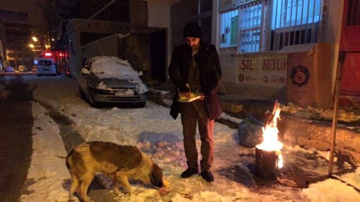 Dondurucu Soğukta Sokak Hayvanları Unutulmadı