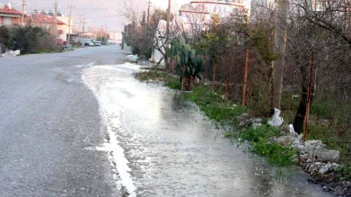 Ortaca\'da Narenciye Dondu, Seralar Sobayla Isıtıldı