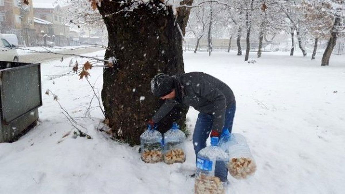 Sokak Hayvanlarına Duyarsız Kalmadı