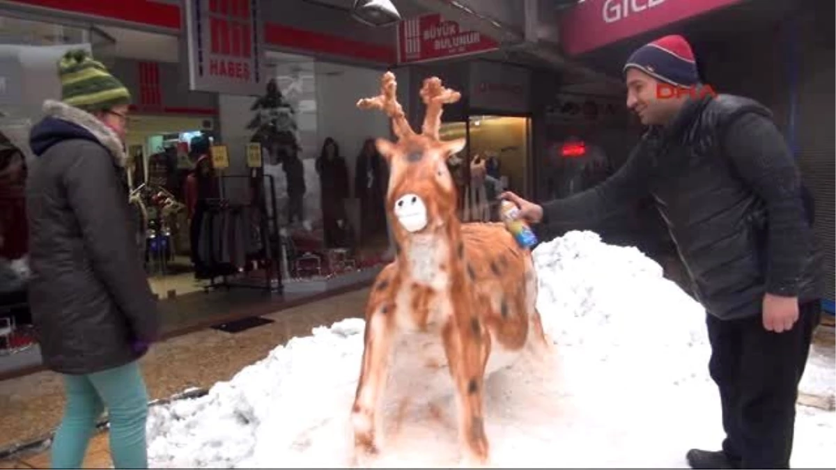 Zonguldak Kardan Geyik İlgi Gördü