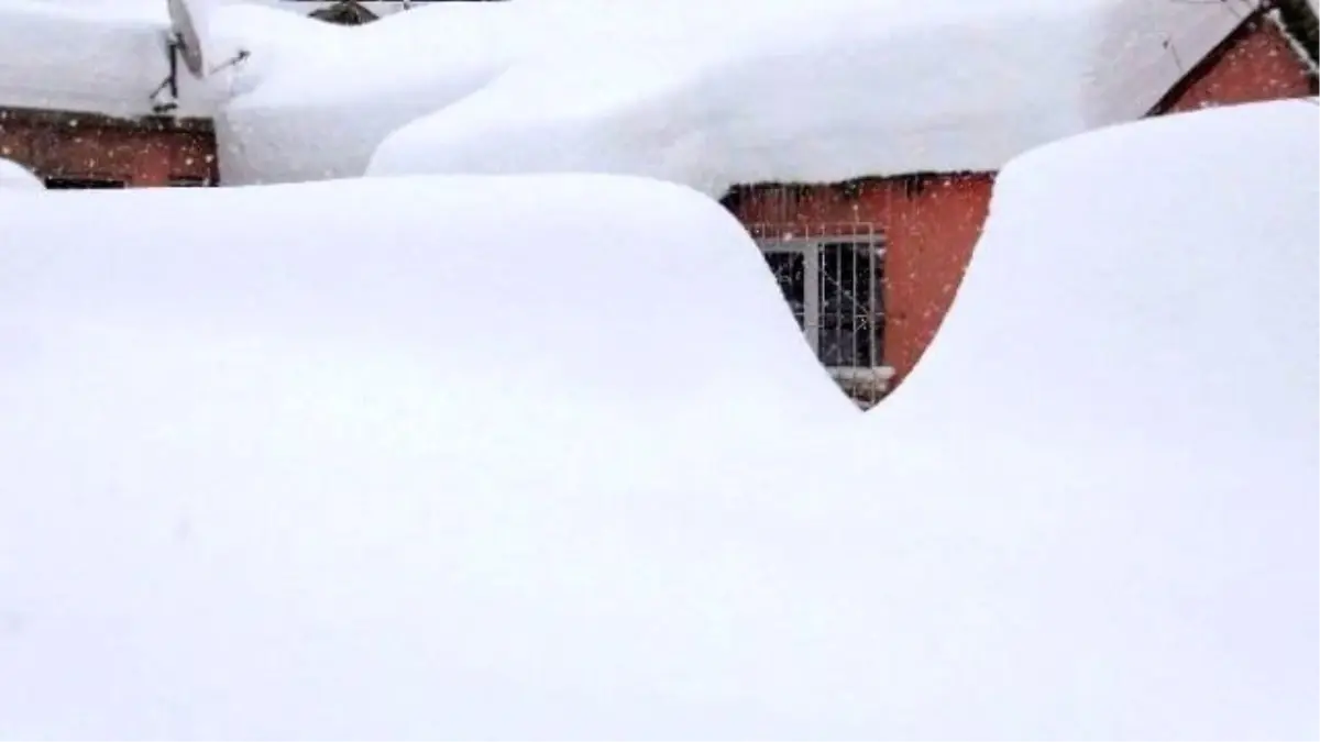 Bitlis\'te Tek Katlı Evler Kar Altında Kayboldu