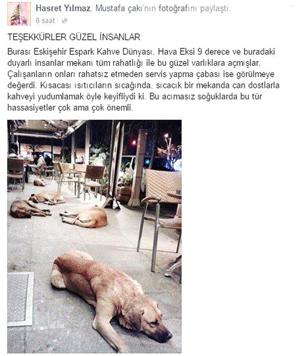 Bu Güzel Görüntü Yine Eskişehir\'den