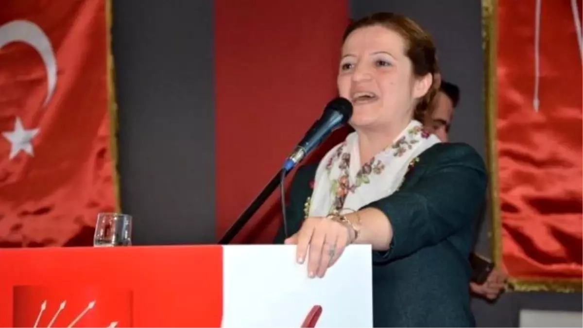 CHP'li Basmacı'dan Referandum Açıklaması