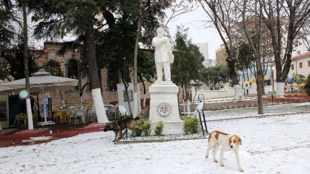 Tekirdağ\'da Kar Yağışı Başladı