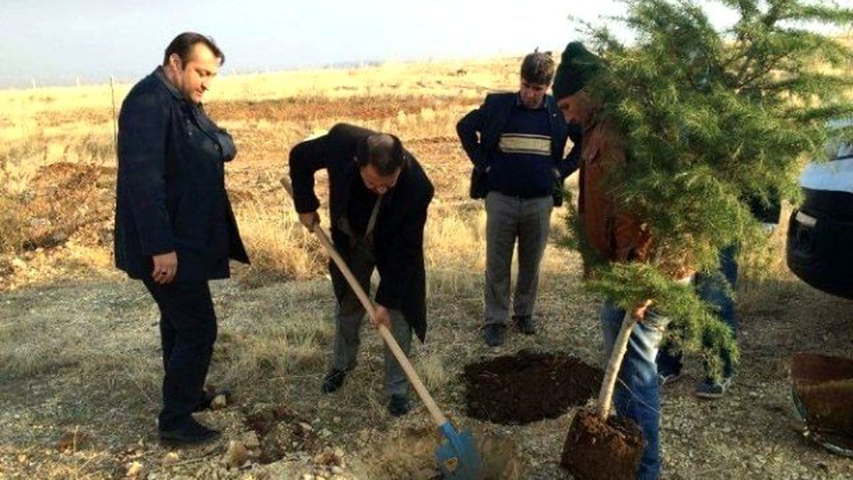 Adıyaman Belediyesi 60 Bin Fidanı Toprakla Buluşturdu