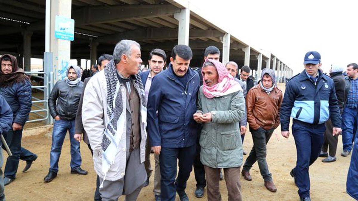 Ekinci, Hayvan Pazarı Esnafının Sorunlarını Dinledi