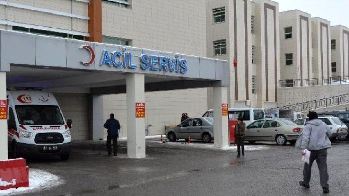 Niğde\'de İkinci Domuz Gribi Şüphesi