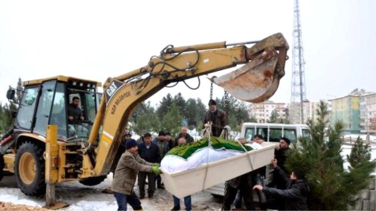 300 Kiloluk Vatandaşı Kepçe Yardımıyla Gömdüler