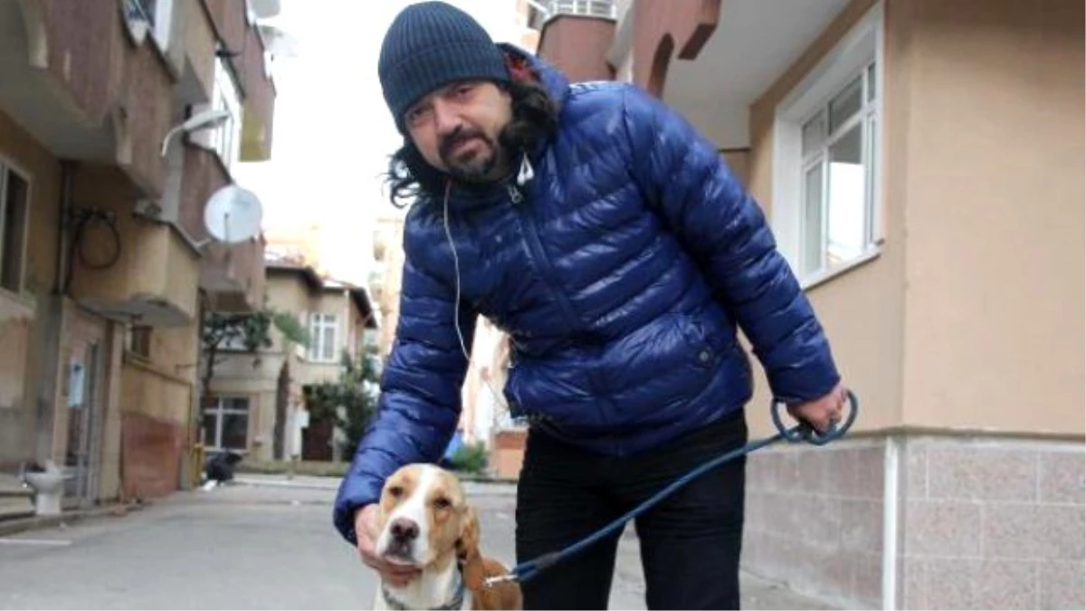 Veteriner Fakültesi\'nde Kaybolan Köpeğini 1 Ay Sonra Buldu