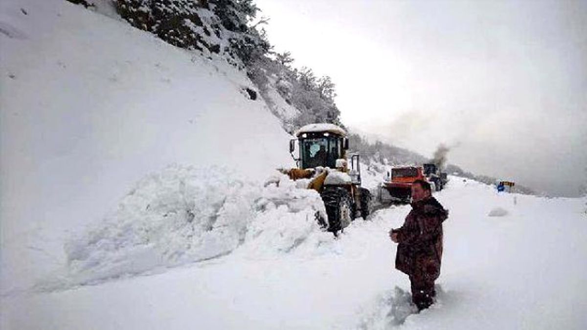 AK Partili Demir: Şef Bozuntuları da Kendini Müdür Zannedenler de Hesap Verecek