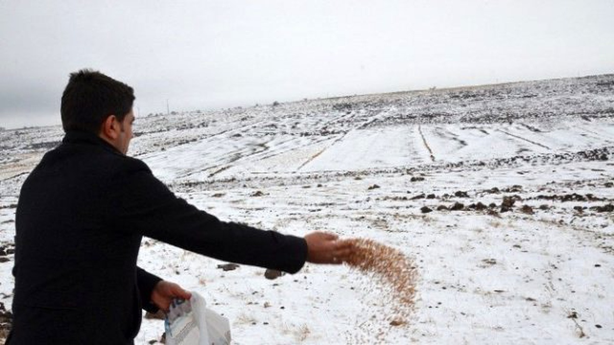 Başkan Yılmaz\'ın Talimatıyla Doğaya Yem Bırakıldı