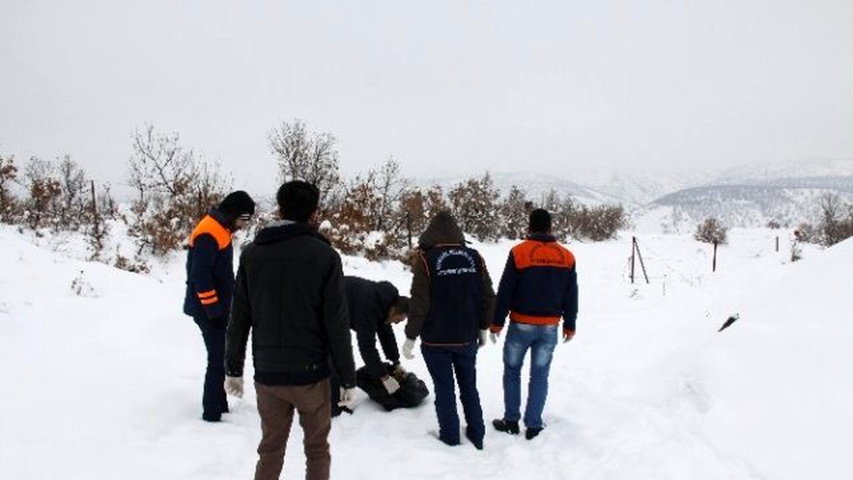 Bingöl Belediyesi Sokak Hayvanları İçin Doğaya Yiyecek Bıraktı