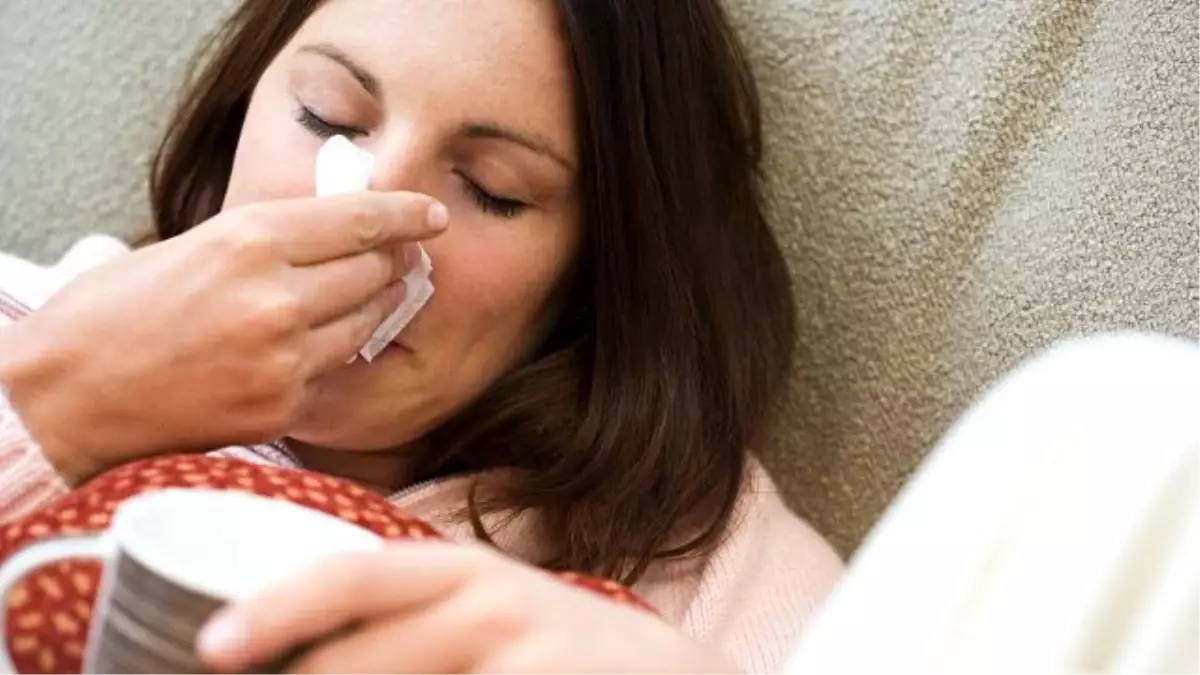 Domuz Gribinin Belirtileri ve Tedavisi Nedir