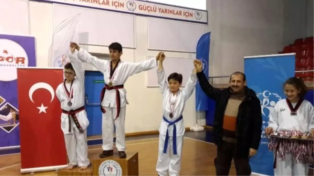 Düzce Taekwondo İl Seçmesi Yapıldı