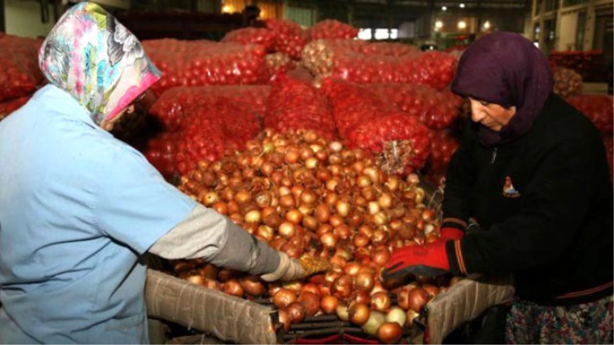 Rusya\'nın Geri Çevirdiği Sebzeye Yüzde 40 Zam