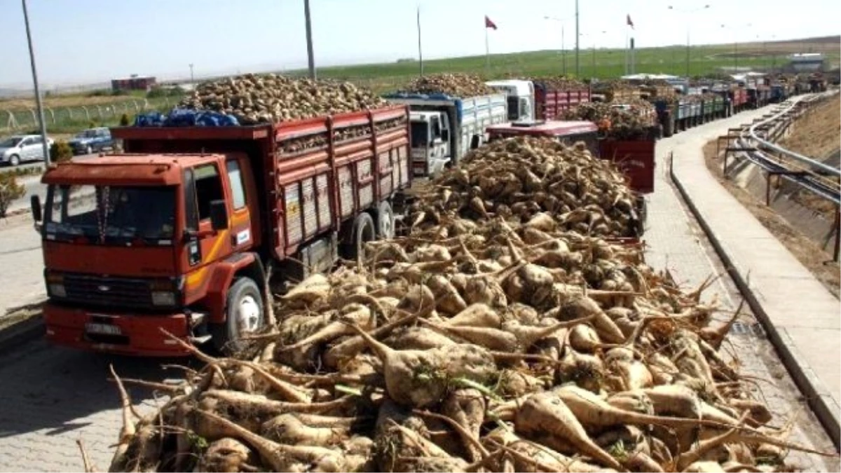 Başkan Kesber Kuş\'tan Kota Esneme Hakkı Müjdesi