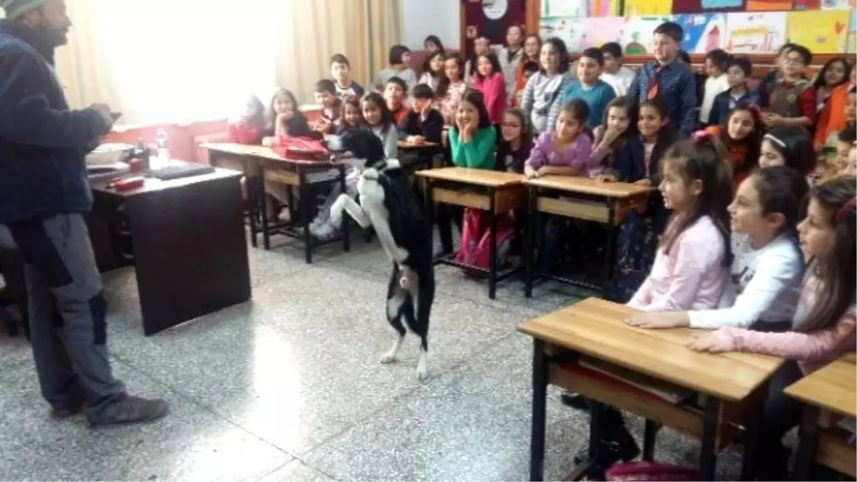 Bu Yılın İlk Hayvan Sevgisi Dersi Verildi