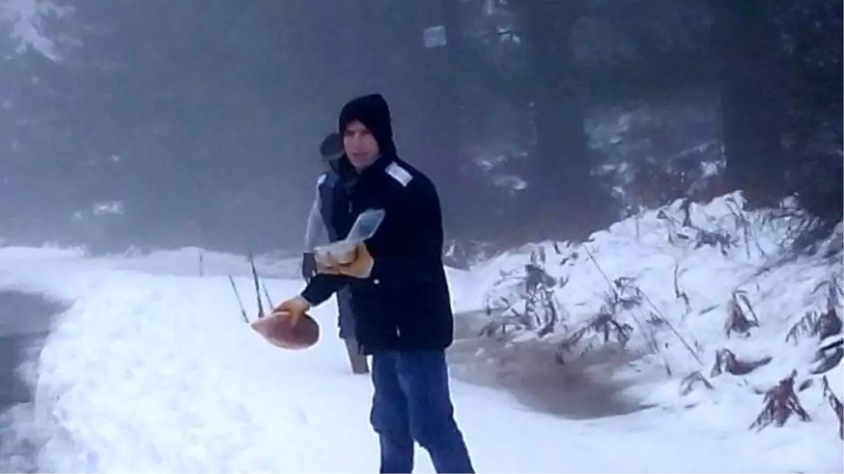 Büyükşehir Yaban Hayvanlarını Unutmadı