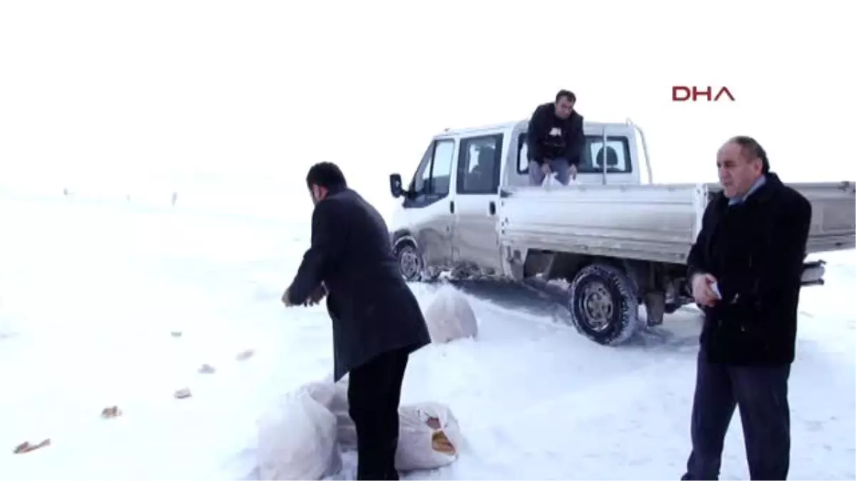 Erzurum- Doğaya 1001 Ekmek Bıraktı