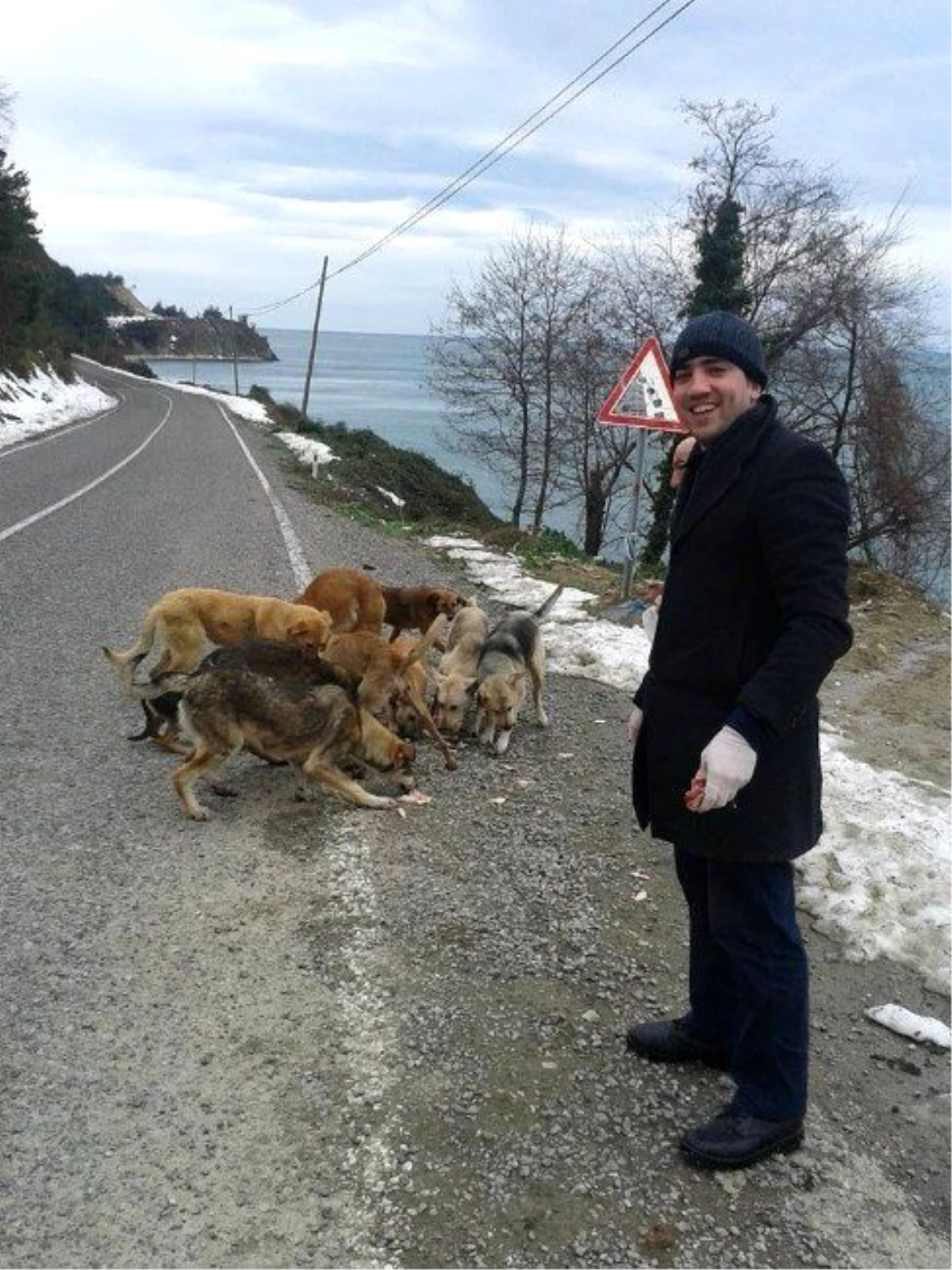 Esnaflar, Aç Kalan Sokak Köpeklerini Doyurdu