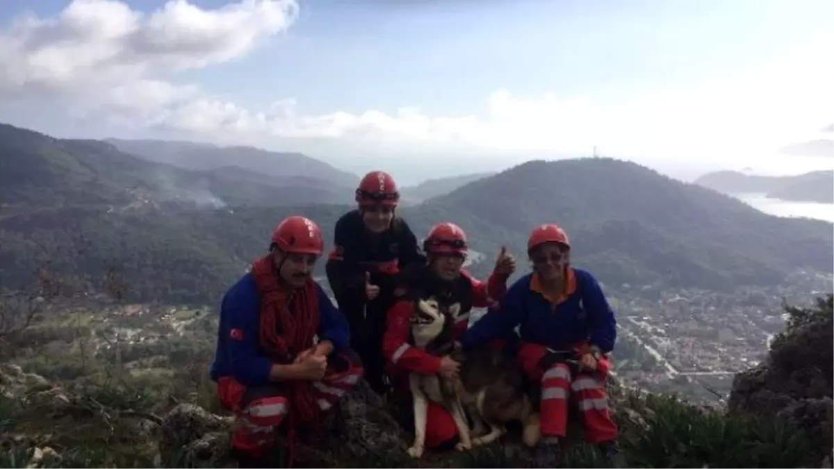 Fethiye Umke\'den Köpek Kurtarma Operasyonu