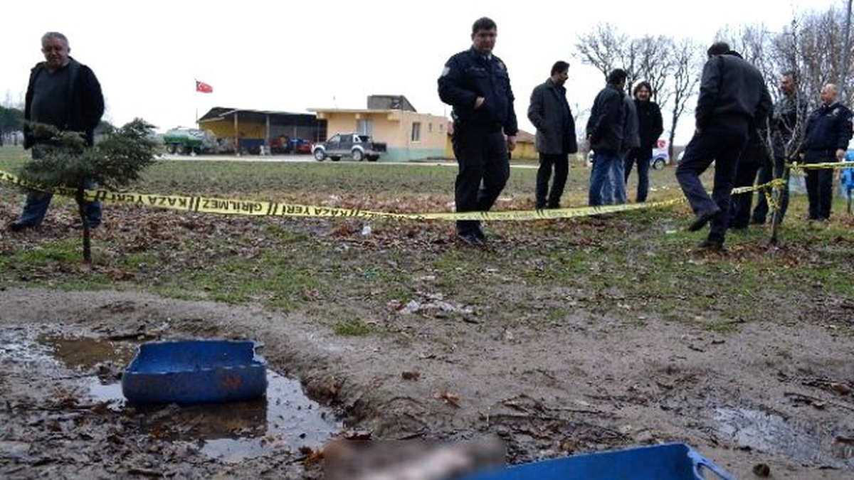Ormana Bırakılan 6 Aylık Cenin, Köpek Tarafından Bulundu