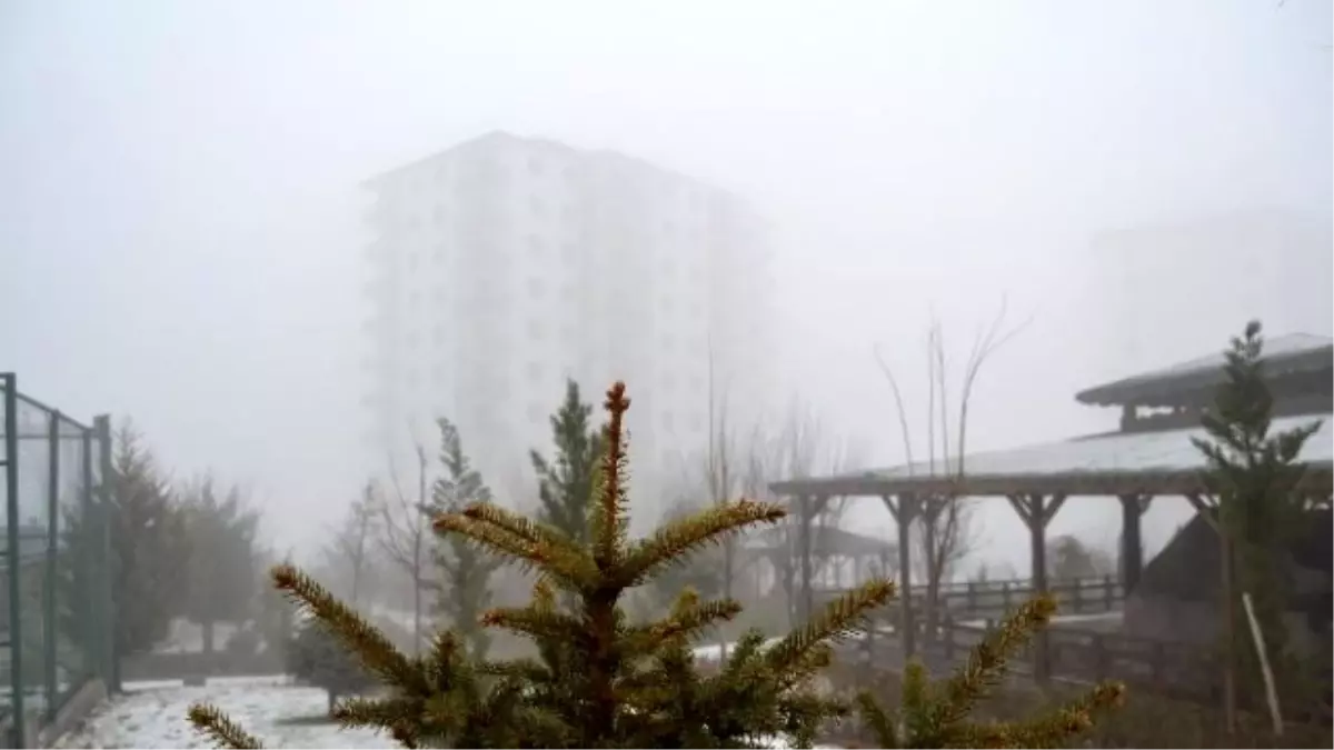 Sis Kartpostallık Görüntüler Oluşturdu