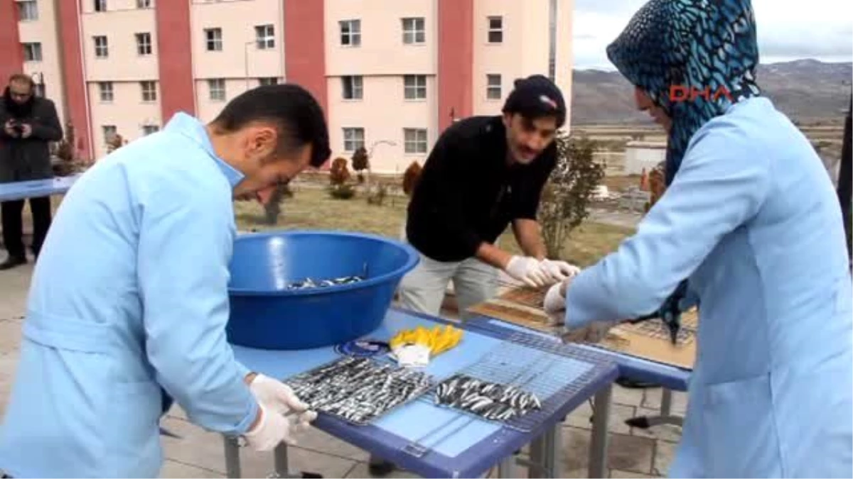 Yurt Öğrencilerine Balık Ziyafeti