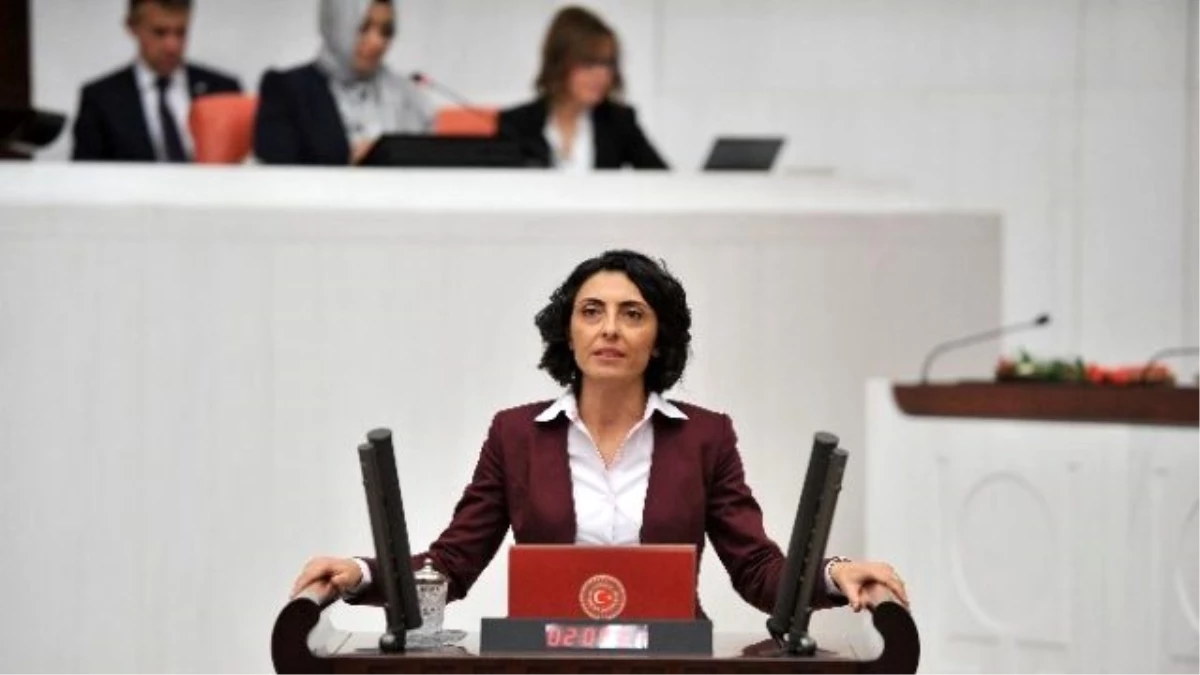 CHP Bursa Milletvekili Nurhayat Altaca Kayışoğlu Açıklaması