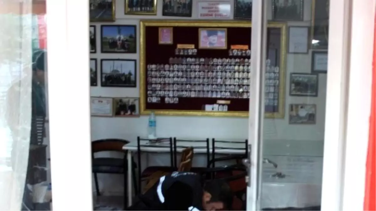 Gazileri de Soydular