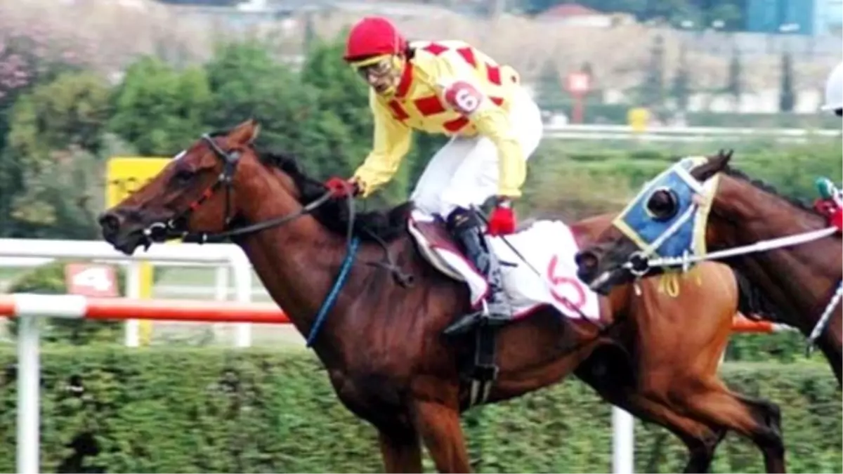 Yarışta Ölen Jokeyin Davası Yedi Yıldır Bitmedi