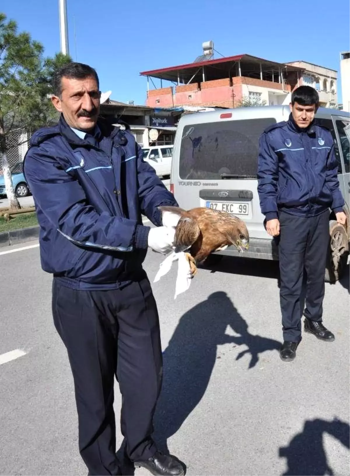 Belediye Başkanının Yaralı Bulduğu Şahin Tedavi Edildi