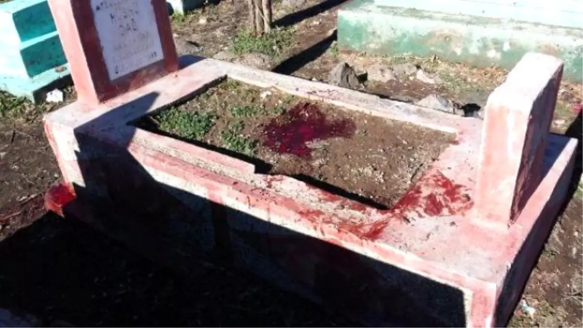 Diyarbakır\'da Mezarlığa Saklanan Patlayıcı Bulan 2 Çocuk Ağır Yaralandı