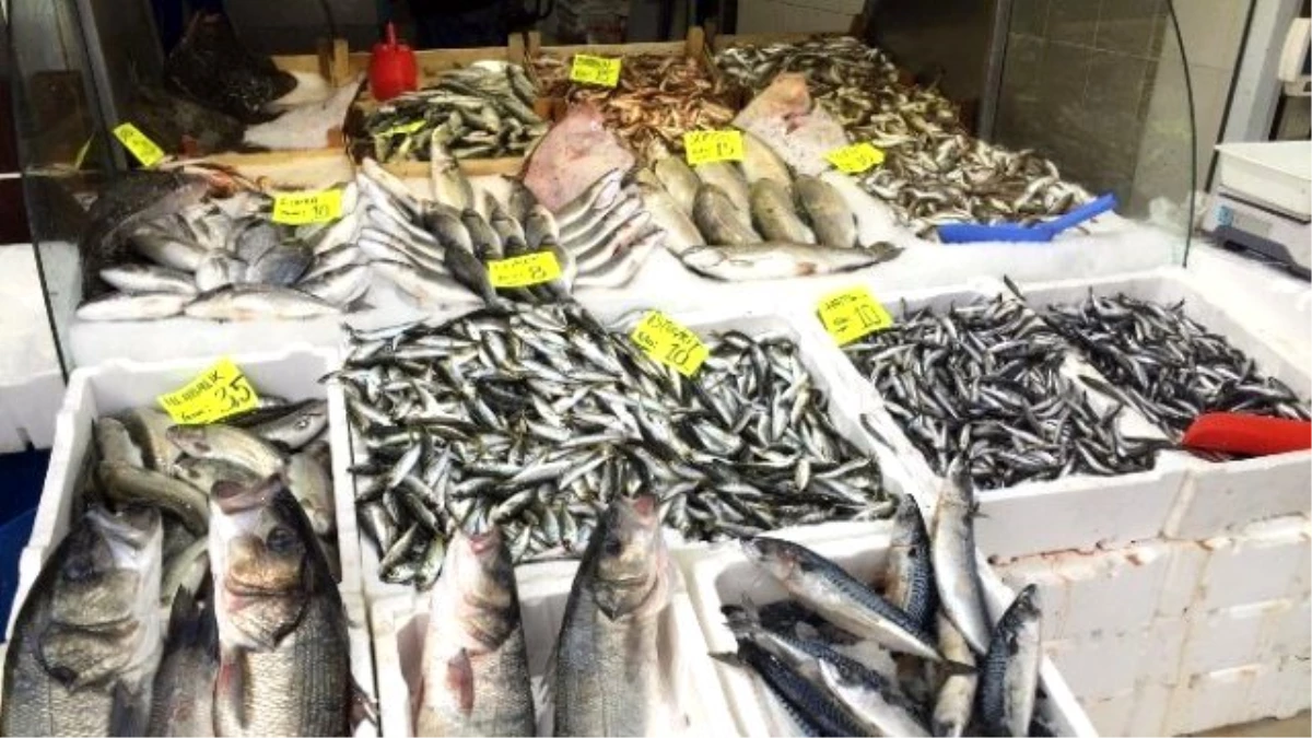 Havalar Isındı Balık Fiyatları Düşüyor