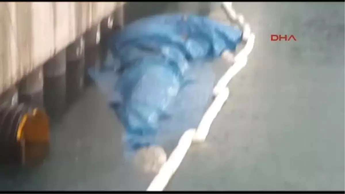 İskenderun Limanı\'na Ölü Yavru Balina Vurdu