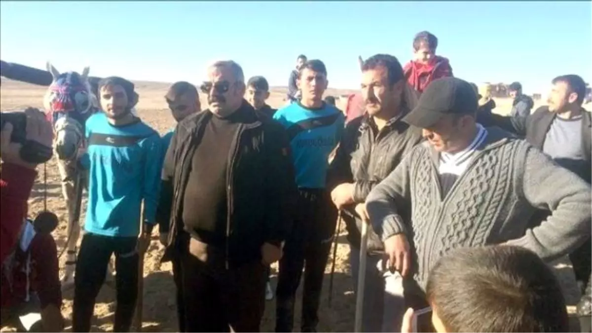 Kangal\'da Cirit Müsabakasına Vatandaşlardan Yoğun İlgi