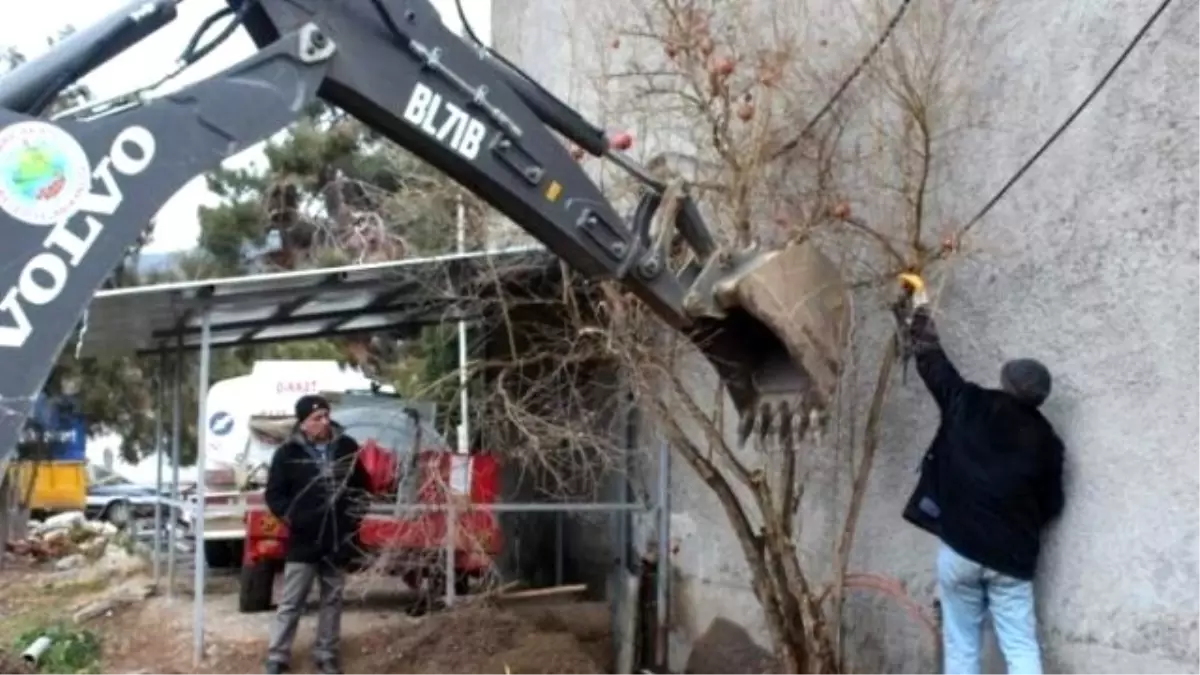 Sarıcakaya Belediyesi Çevre Düzenleme Çalışmalarını Sürdürüyor