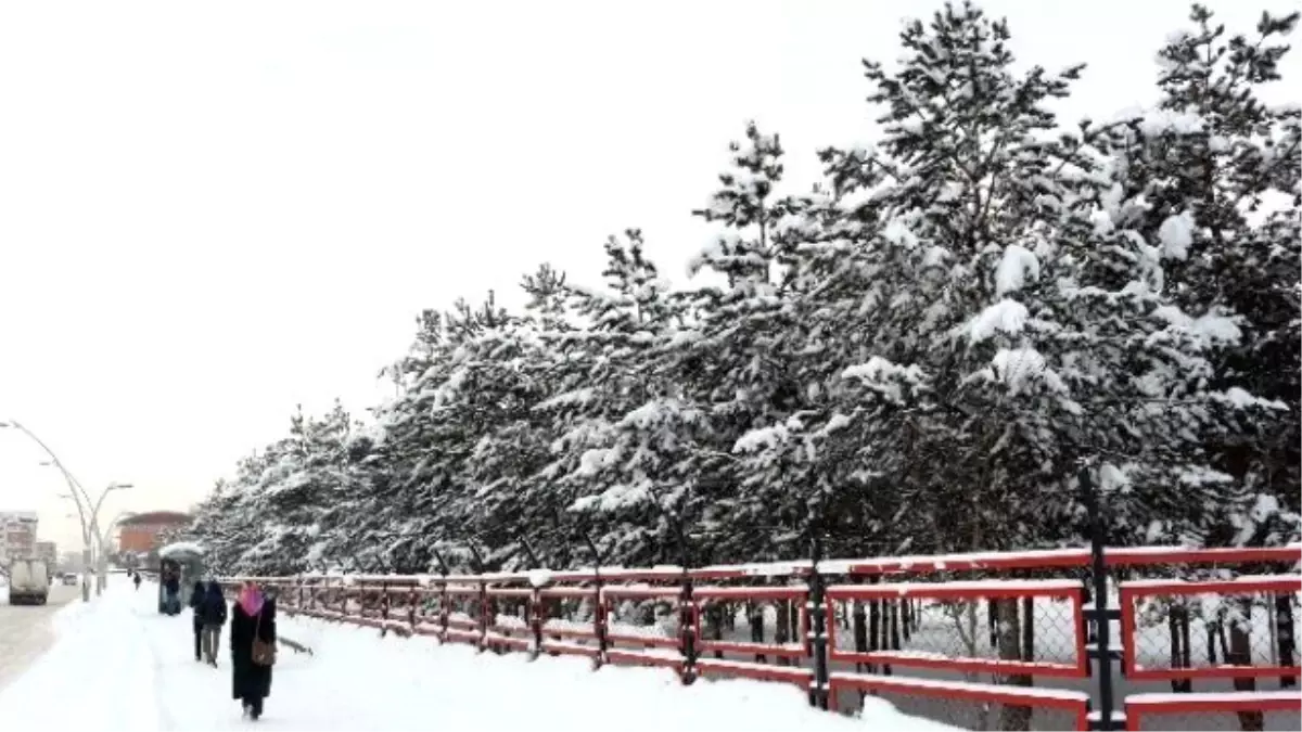 Ağrı\'da Kış Manzaraları