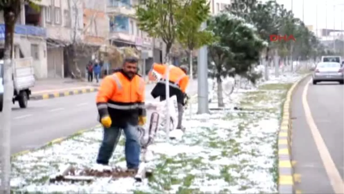 İslahiye\'de Ağaçlar Dona Karşı Naylona Sarılıyor